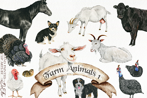 Farm Animals 1-2 Illustrations