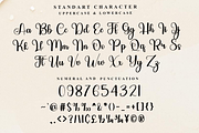 Thick Line, a Handwritten Font by FreshTypeINK (Thumbnail 4 of 8)