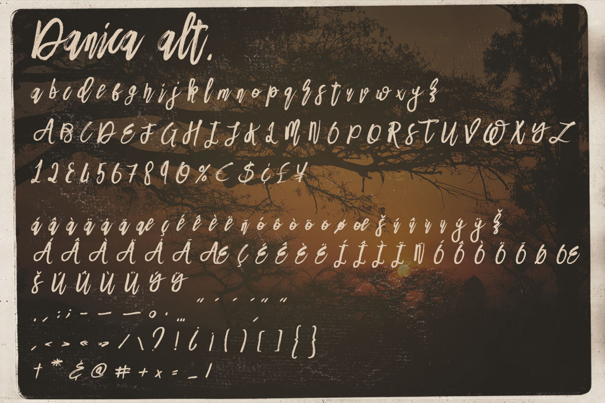 Danica Tribute Brush & SVG Font, a Script Font by Cruzine (Photo 10 of 14)