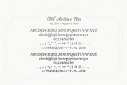 Old Archive - Vintage Font Trio, a Script Font by elvinova (Thumbnail 12 of 13)