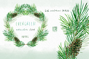 Pine. Watercolor clipart, an Illustration by LABFcreations (Thumbnail 1 of 9)