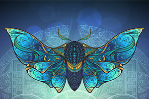 Mystic Moth Vector Illustration.