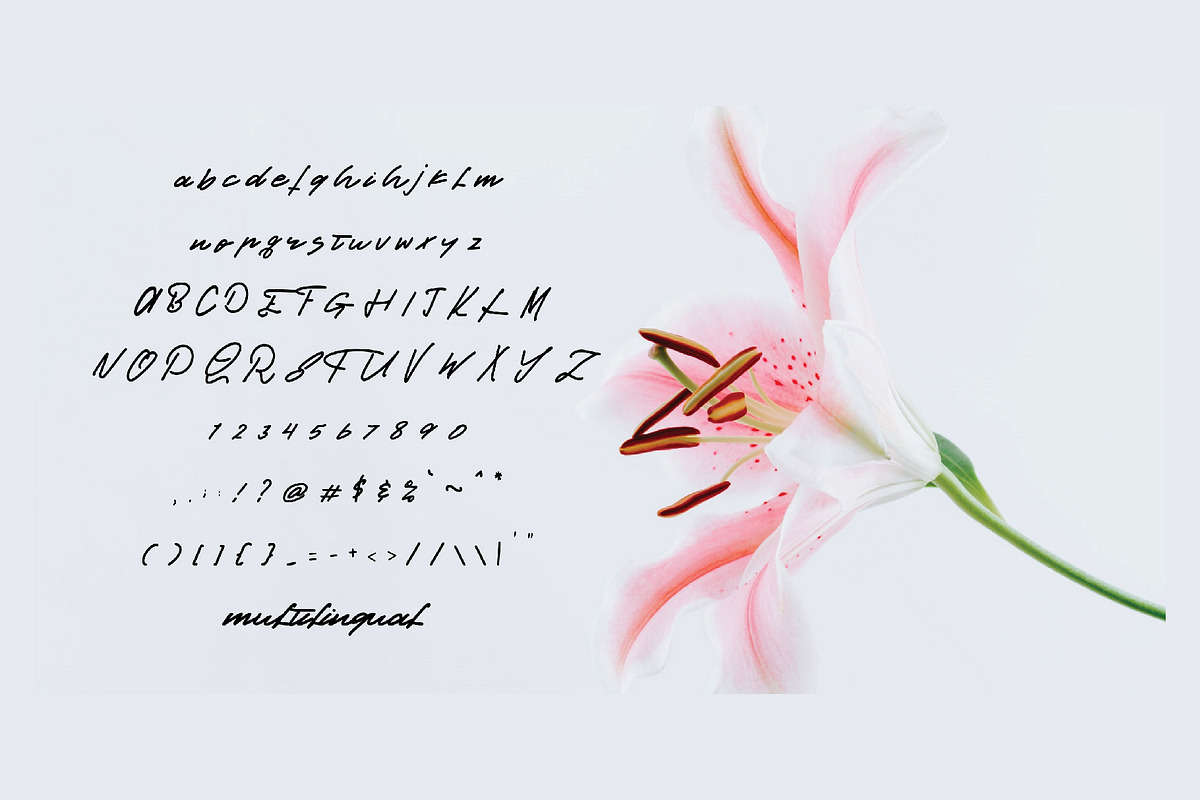 cinestory font, a Script Font by Mariyana