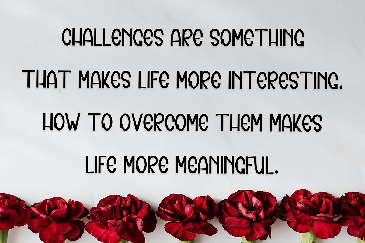 Happines, a Sans Serif Font by FreshTypeINK (Photo 6 of 7)