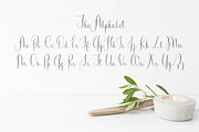 Queen Anne Hill, a Handwritten Font by Great Lakes Lettering (Thumbnail 3 of 3)