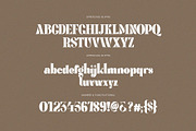 Megina Elegant Ligature Serif Font, a Serif Font by Perfectype (Thumbnail 8 of 9)