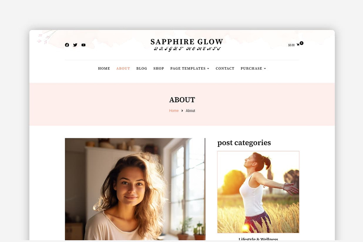 Sapphire Glow WordPress Theme preview 2