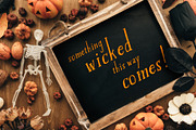 Belknap Font Family, a Serif Font by Linseed Studio (Thumbnail 5 of 13)