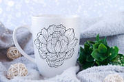 Black Outline Peony Flowers Set, an Illustration by ArtIrisArt (Thumbnail 8 of 13)