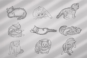 Vintage Bundle 2500+ Free Update, an Animal Illustration by Retro Machine (Thumbnail 84 of 170)