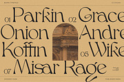 Bjork Serif, a Serif Font by CCS-Type.com (Thumbnail 11 of 30)