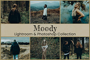 Moody Lightroom Presets Ps ACR LUTs, an Action Add-On by 3Motional (Thumbnail 1 of 11)