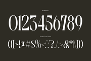 Luxury Logo Font - Bageki, a Serif Font by Nirmana Visual (Thumbnail 9 of 9)