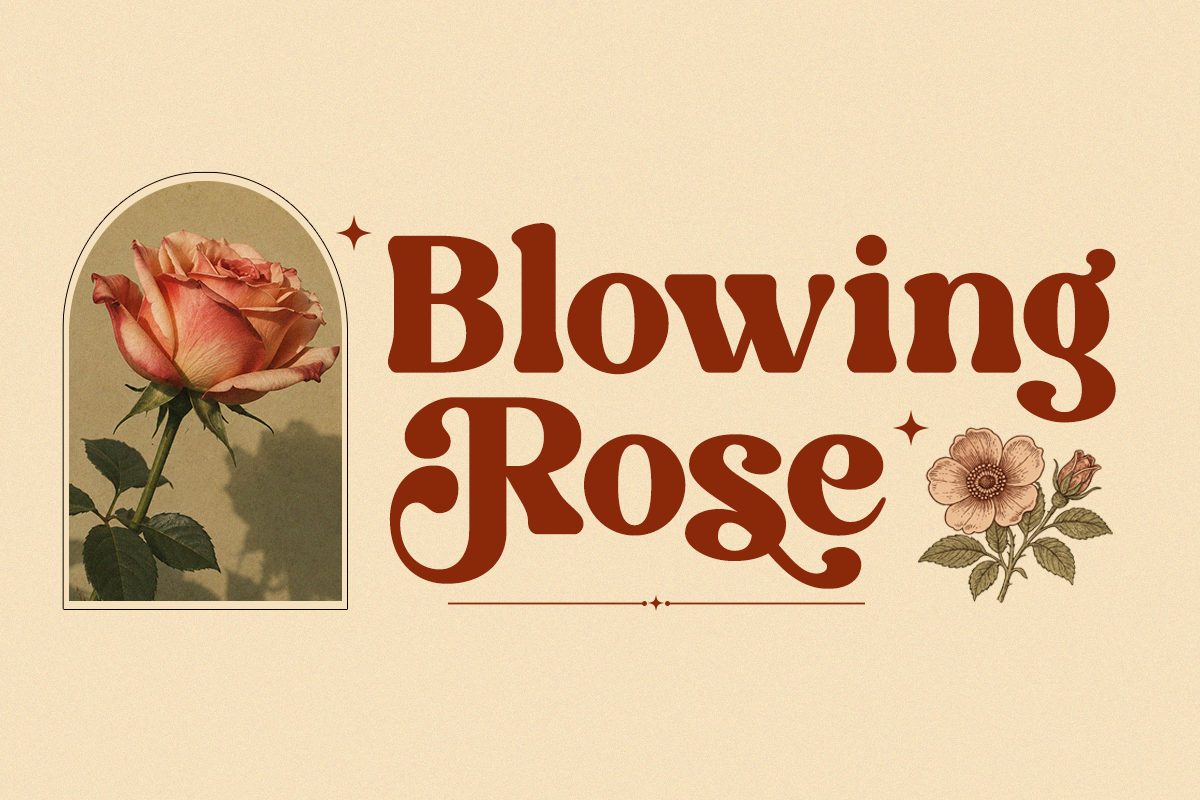 Retro Serif Font - Happy Sunday, a Serif Font by Font Liner (Photo 6 of 9)