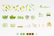 Microgreens Vector Set 1, a Food Illustration by ElenaKovalyova (Thumbnail 21 of 21)