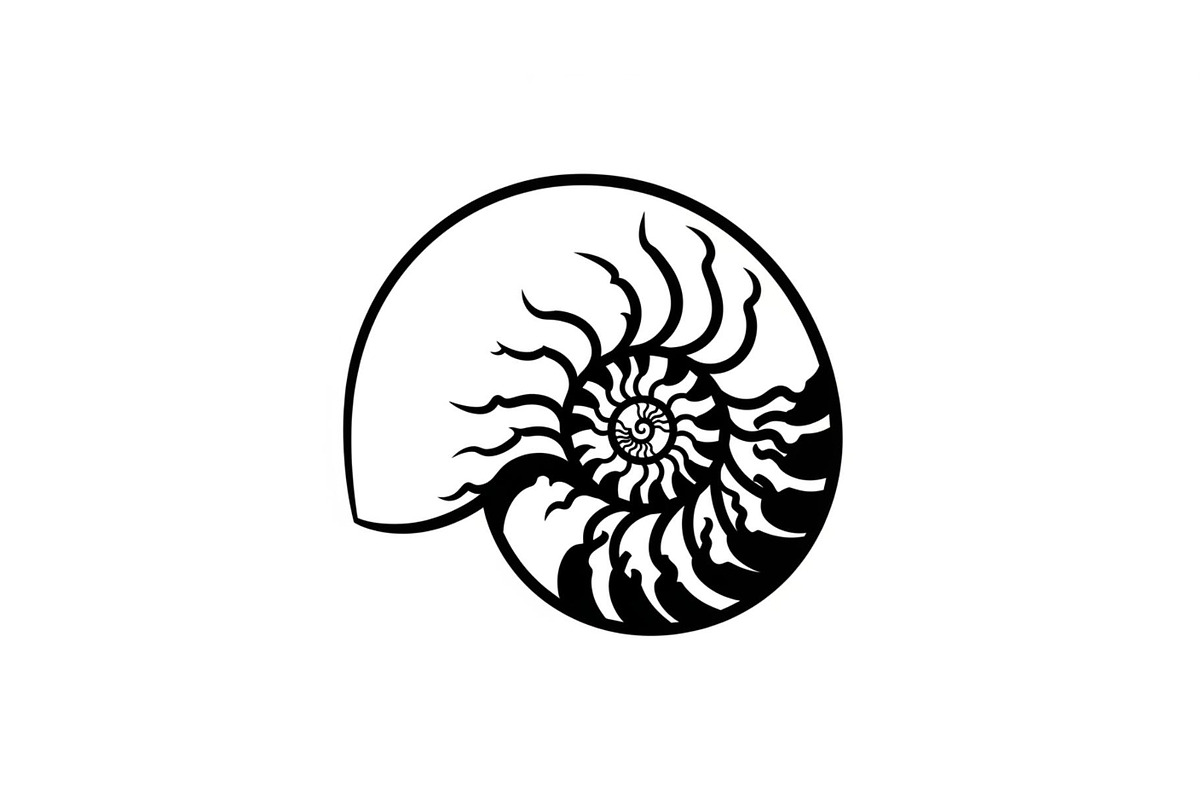 Shell Silhouette Vector Bundle, an Illustration by hafijul (Photo 23 of 48)