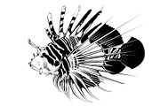 Tropical fish. Vector illustration, an Animal Illustration by Tettygreen (Thumbnail 1 of 3)