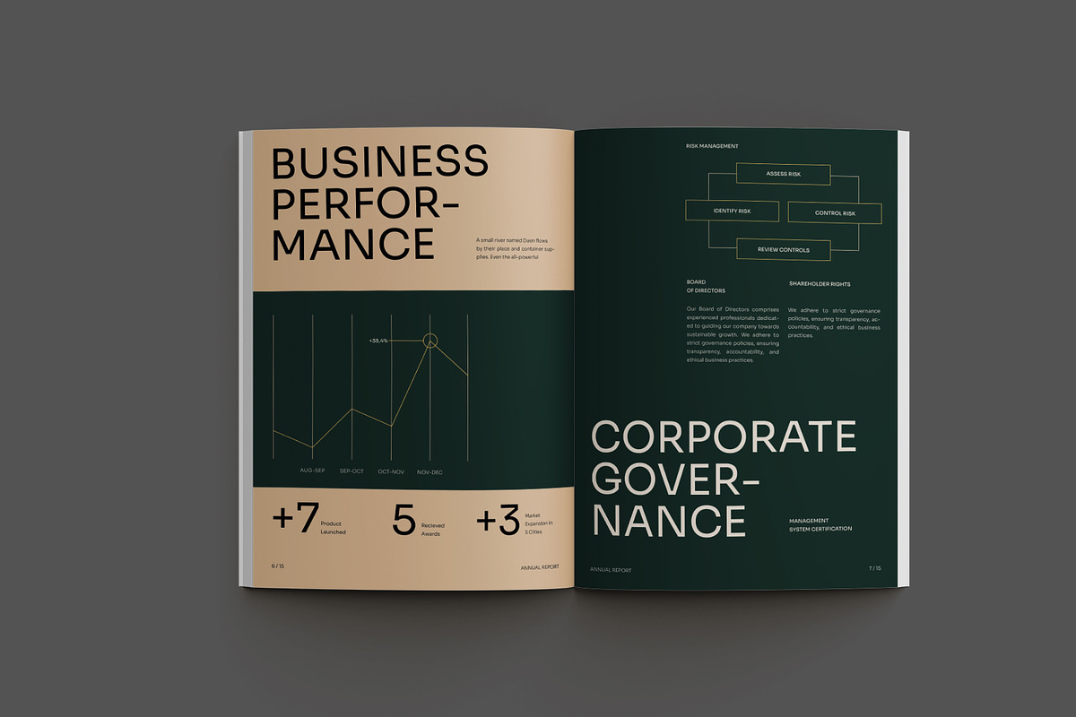 Annual Report, a Brochure Template by Neermana (Photo 8 of 10)