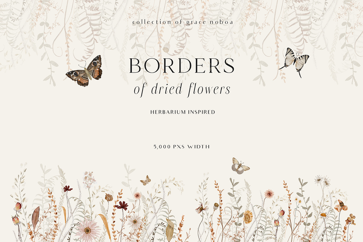 Wildflowers watercolor floral botany, a Decorative Illustration by Grace Noboa Illustrations (Photo 12 of 17)