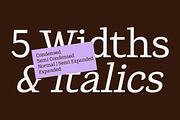 Kalinga | 91 Style Font, a Serif Font by Bosstype Studio (Thumbnail 4 of 15)