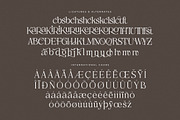 Metrolin Modern Serif Font, a Serif Font by Storytype Studio (Thumbnail 14 of 15)