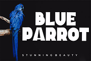 Ribbon, a Script Font by FreshTypeINK (Thumbnail 2 of 7)