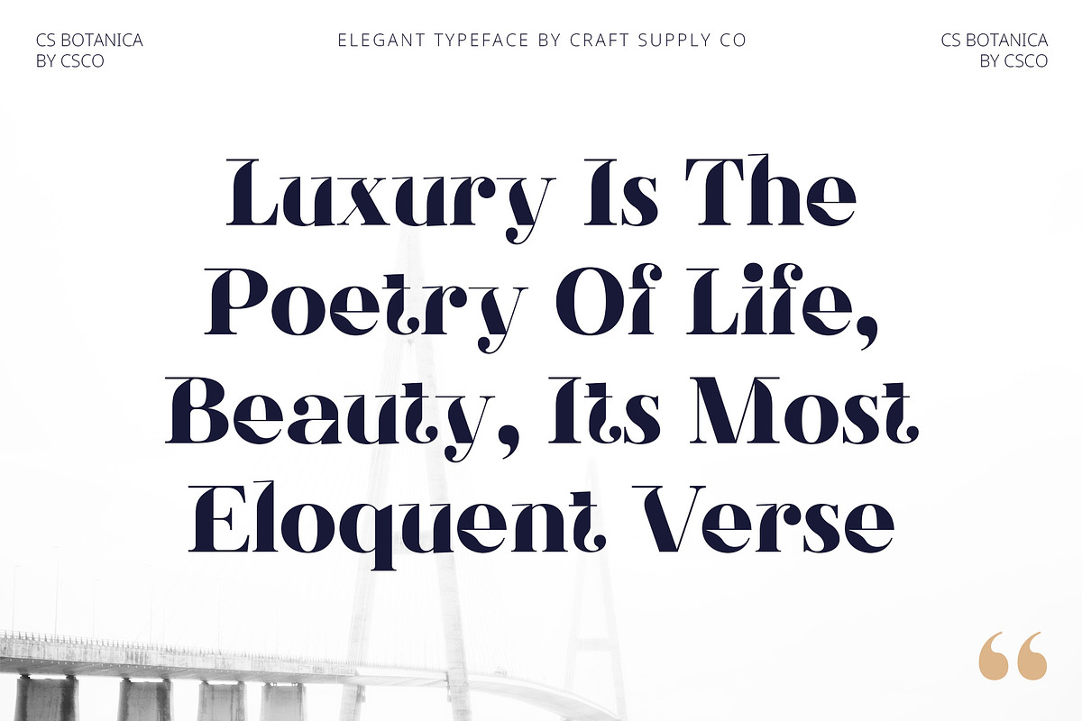 CS Botanica – Elegant Font, a Serif Font by Craft Supply Co. (Photo 2 of 8)