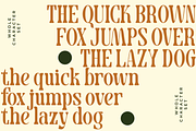 Therany - Round Serif Font, a Serif Font by Font Liner (Thumbnail 8 of 8)