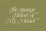Netsera Calligraphic Serif Typeface, a Serif Font by SilverStag Type Foundry (Thumbnail 11 of 30)