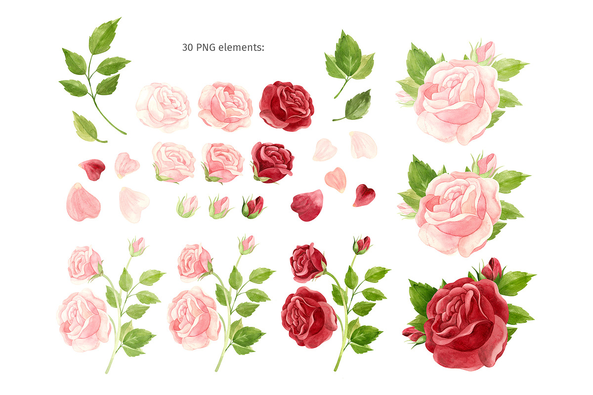Watercolor pink and red roses, an Illustration by Valin Malin (Photo 2 of 16)