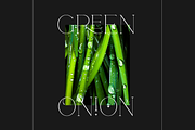 Rotten - Modern & Elegant Serif Font, a Serif Font by Pen Culture (Thumbnail 6 of 13)