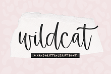 Wildcat | Handwritten Script Font