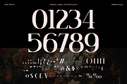 Heroma - Modern Ligatures Font, a Serif Font by Nirmana Visual (Thumbnail 7 of 8)