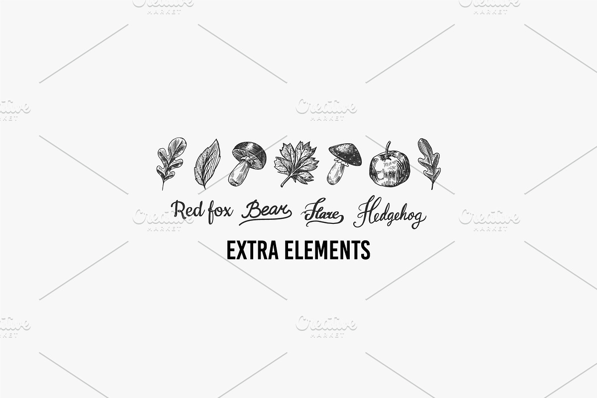 Big set bundle. Animals fox, wolf, an Animal Illustration by Arthur Balitskiy (Photo 9 of 9)