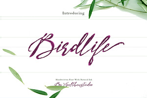 Bird life