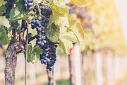 10 Stunning Matte Landscape Presets, a Preset Add-On by Timeless Presets (Thumbnail 13 of 13)
