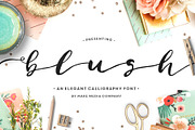 The Brush Script Bundle • 60% OFF, a Script Font by Callie Rian & Co. (Thumbnail 7 of 7)