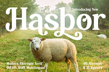 Hasbor Modern Alternate Serif Font