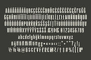 Illuster Condensed, a Font by TypeFaith Fonts (Thumbnail 8 of 12)