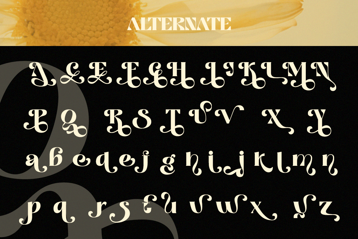 Filoptus - A Bold Modern Elegant, a Serif Font by Qweera Studio (Photo 11 of 12)