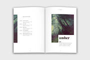 Colora - Bold, Clean Portfolio, a Brochure Template by velvetmade.designs (Thumbnail 6 of 17)