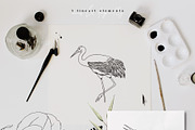 Magnolia & Cranes | Tropical Japan, an Illustration by January Bloom (Thumbnail 12 of 17)