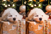 Christmas Lightroom Presets, a Preset Add-On by VividFrame (Thumbnail 3 of 9)