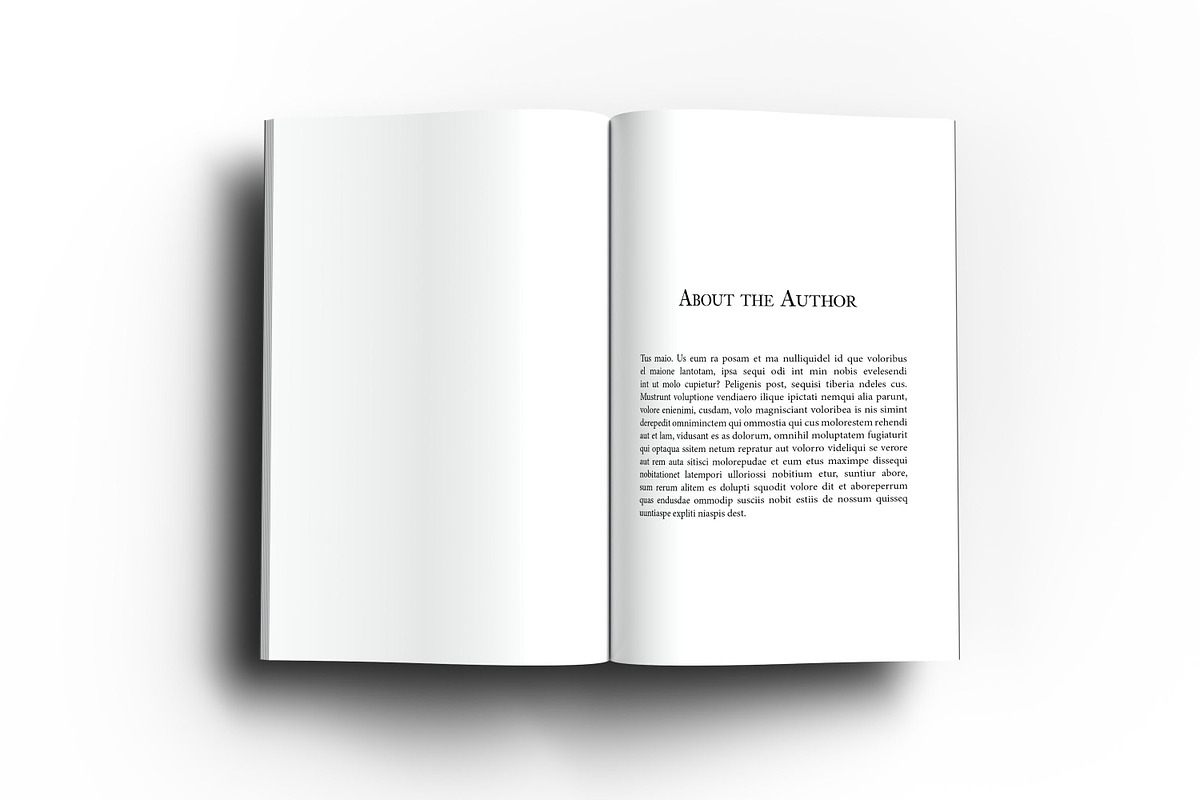 6 x 9 Adobe Indesign Book Template preview 6