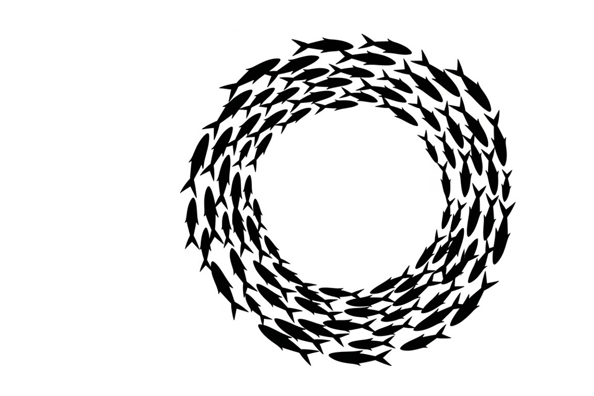 Ocean Marine Animal Silhouette, an Illustration by Amazin_art (Photo 24 of 31)