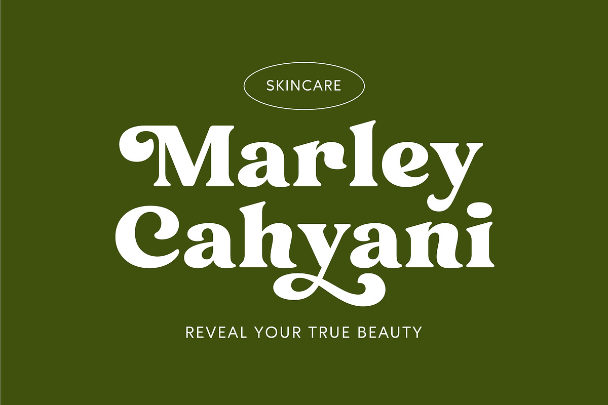 Heigan - Retro Font Family, a Serif Font by Grezline Studio (Photo 2 of 13)