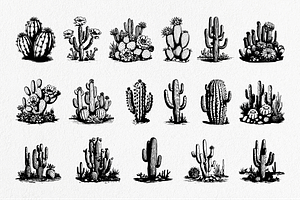 Cactus Hand-Drawn Vintage Set