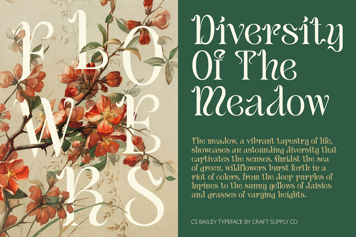 CS Bailey – Art Nouveau Font, a Serif Font by Craft Supply Co. (Photo 7 of 8)