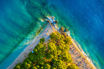 Aerial view on the beach and trees, a Nature Photo by Landscape and travel