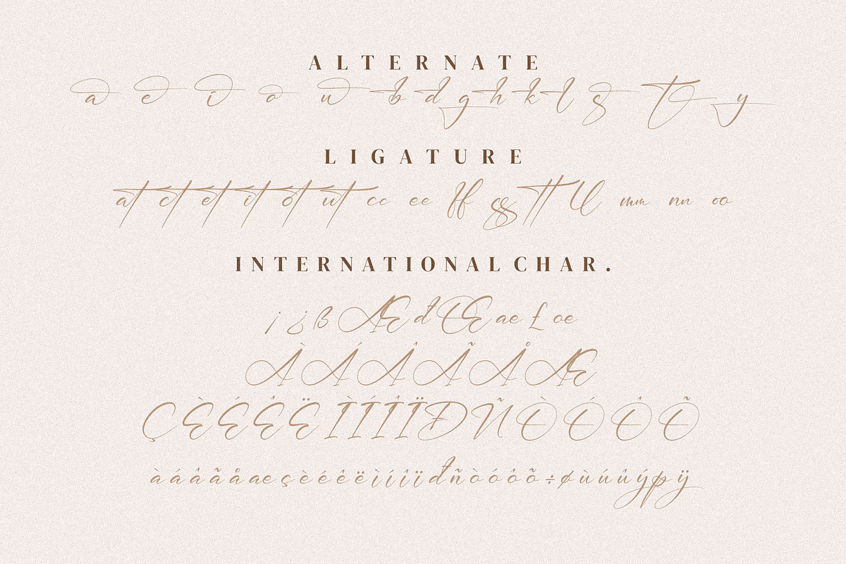 William Narasi, a Script Font by Integritype Studio (Photo 7 of 8)